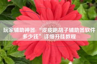 玩家辅助神器:“皮皮跑胡子辅助器软件多少钱	”详细开挂教程