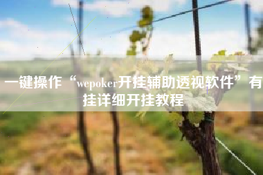 一键操作“wepoker开挂辅助透视软件	”有挂详细开挂教程