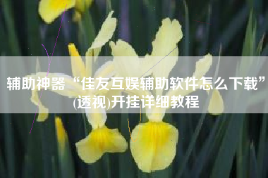 辅助神器“佳友互娱辅助软件怎么下载”(透视)开挂详细教程