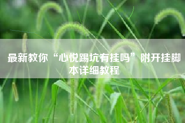 最新教你“心悦踢坑有挂吗”附开挂脚本详细教程