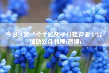 今日实测“牵手跑胡子开挂神器下载	”辅助软件教程(透视)