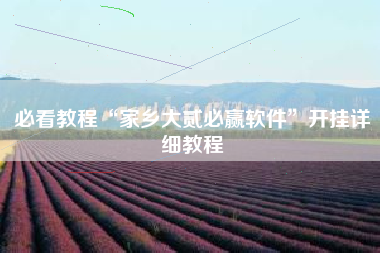 必看教程“家乡大贰必赢软件”开挂详细教程