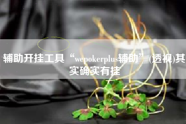 辅助开挂工具“wepokerplus辅助”(透视)其实确实有挂