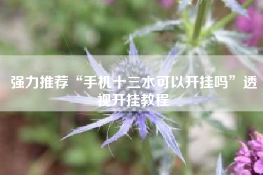 强力推荐“手机十三水可以开挂吗”透视开挂教程