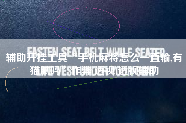 辅助开挂工具“手机麻将怎么一直输,有猫腻吗”作弊(透视)透视辅助