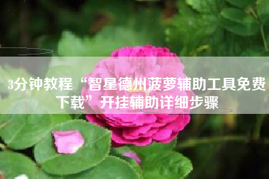 3分钟教程“智星德州菠萝辅助工具免费下载”开挂辅助详细步骤