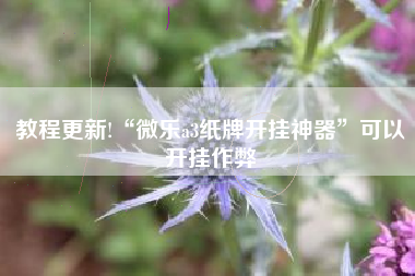 教程更新!“微乐a3纸牌开挂神器	”可以开挂作弊