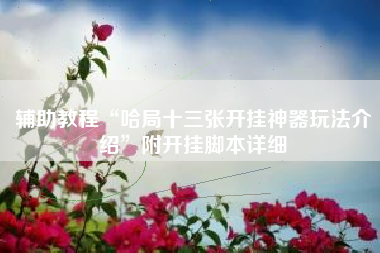 辅助教程“哈局十三张开挂神器玩法介绍”附开挂脚本详细