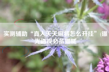 实测辅助“真人天天麻将怎么开挂”(曝光透视必备猫腻