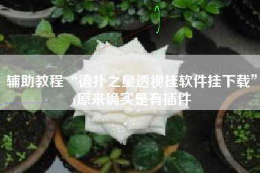 辅助教程“德扑之星透视挂软件挂下载”(原来确实是有插件