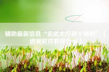 辅助最新信息“玄武大厅拼十辅助”【透视软件教程分享】