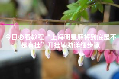 今日必看教程“上海明星麻将到底是不是有挂”开挂辅助详细步骤