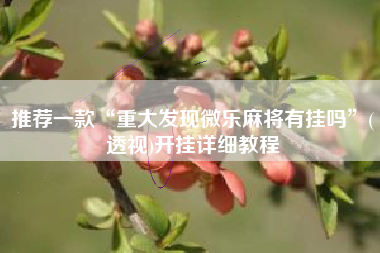 推荐一款“重大发现微乐麻将有挂吗”(透视)开挂详细教程