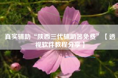 真实辅助“陕西三代辅助器免费	”【透视软件教程分享】