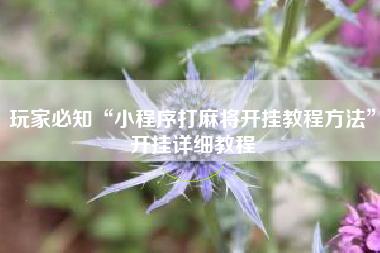 玩家必知“小程序打麻将开挂教程方法”开挂详细教程