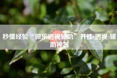 秒懂经验“微乐透视辅助”开挂(透视)辅助神器