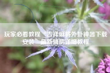玩家必看教程“吉祥麻将外卦神器下载安装”最新辅助详细教程