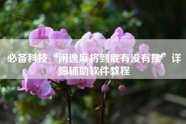 必备科技“闲逸麻将到底有没有挂”详细辅助软件教程
