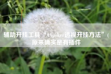 辅助开挂工具“AApoker透视开挂方法	”(原来确实是有插件