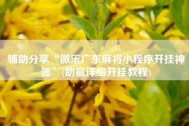 辅助分享“微乐广东麻将小程序开挂神器”(助赢详细开挂教程)