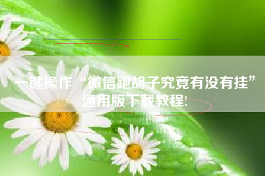 一键操作“微信跑胡子究竟有没有挂”通用版下载教程!