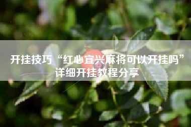 开挂技巧“红心宜兴麻将可以开挂吗	”详细开挂教程分享