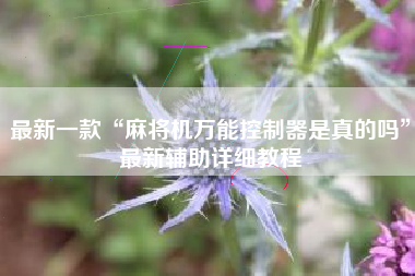 最新一款“麻将机万能控制器是真的吗”最新辅助详细教程