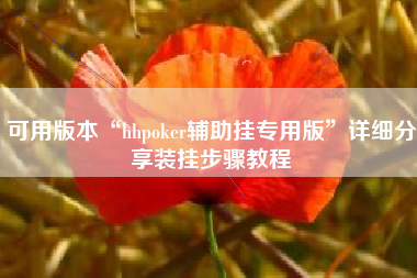 可用版本“hhpoker辅助挂专用版”详细分享装挂步骤教程