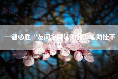 一键必胜“友间字牌辅助器	”辅助挂下载