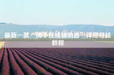 最新一款“佛手在线辅助器	”详细开挂教程