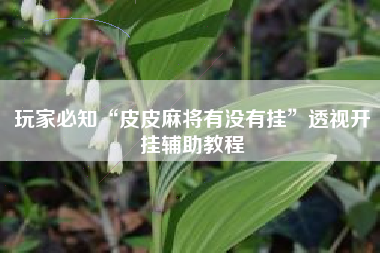 玩家必知“皮皮麻将有没有挂”透视开挂辅助教程