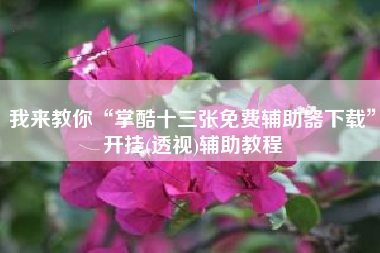 我来教你“掌酷十三张免费辅助器下载	”开挂(透视)辅助教程