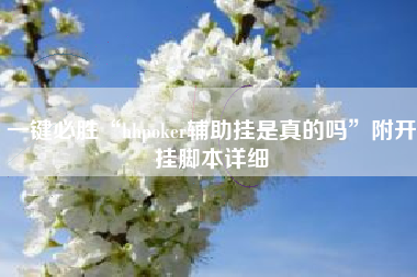 一键必胜“hhpoker辅助挂是真的吗”附开挂脚本详细