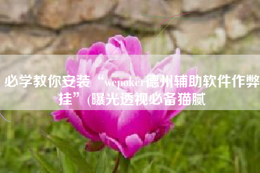必学教你安装“wepoker德州辅助软件作弊挂	”(曝光透视必备猫腻