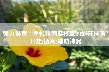 强力推荐“星悦陕西麻将真的能开挂吗”开挂(透视)辅助神器