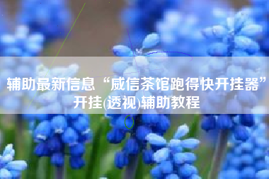 辅助最新信息“威信茶馆跑得快开挂器	”开挂(透视)辅助教程