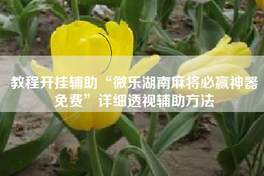 教程开挂辅助“微乐湖南麻将必赢神器免费”详细透视辅助方法