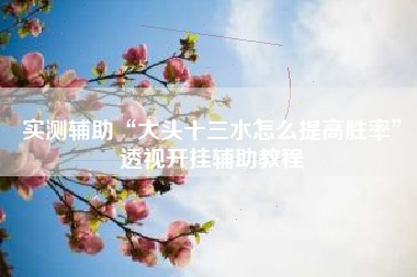 实测辅助“大头十三水怎么提高胜率”透视开挂辅助教程