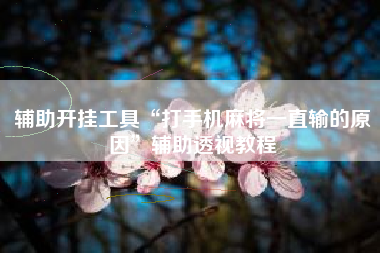 辅助开挂工具“打手机麻将一直输的原因	”辅助透视教程