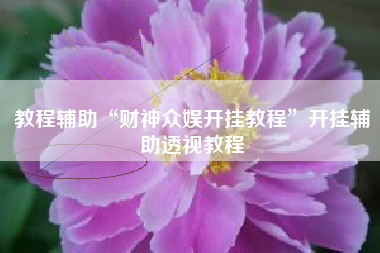 教程辅助“财神众娱开挂教程	”开挂辅助透视教程