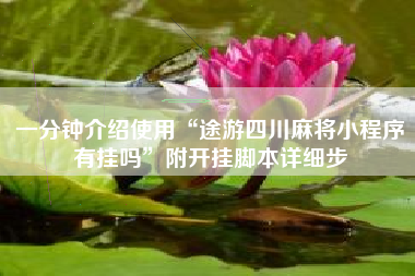 一分钟介绍使用“途游四川麻将小程序有挂吗”附开挂脚本详细步