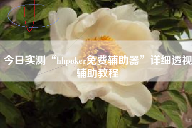 今日实测“hhpoker免费辅助器	”详细透视辅助教程