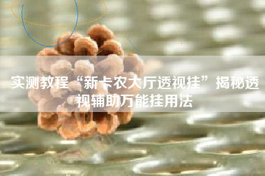 实测教程“新卡农大厅透视挂	”揭秘透视辅助万能挂用法