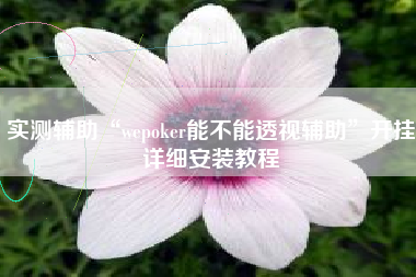 实测辅助“wepoker能不能透视辅助”开挂详细安装教程