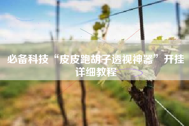 必备科技“皮皮跑胡子透视神器”开挂详细教程