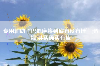 专用辅助“巴蜀麻将到底有没有挂”(透视)其实确实有挂