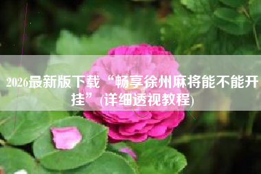 2026最新版下载“畅享徐州麻将能不能开挂”(详细透视教程)