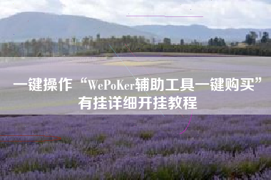 一键操作“WePoKer辅助工具一键购买”有挂详细开挂教程