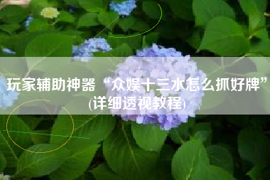 玩家辅助神器“众娱十三水怎么抓好牌”(详细透视教程)