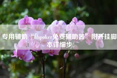 专用辅助“hhpoker免费辅助器	”附开挂脚本详细步